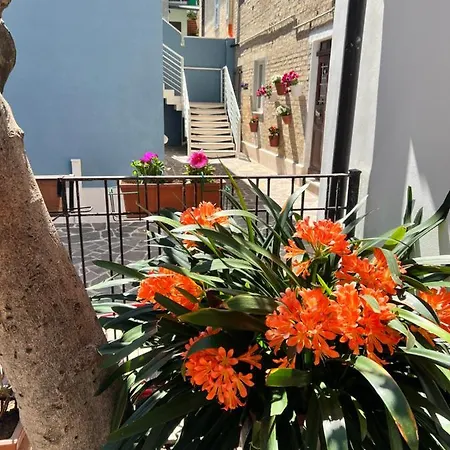 Blu Corallo * Porto San Giorgio